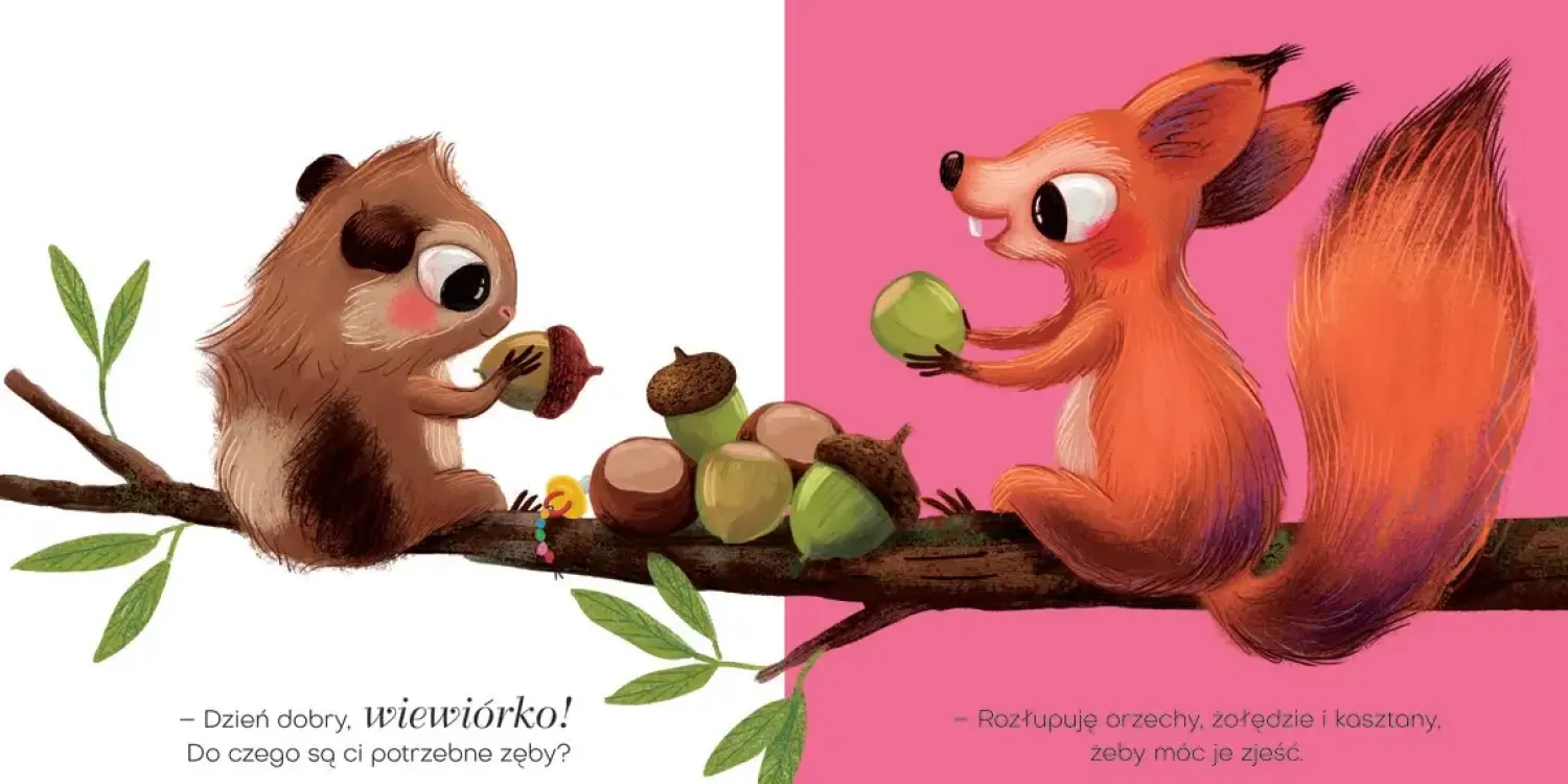 Oswajanie Emocji|0-2 Lat | Wydawnictwo Zielona Sowa Smoczek Kiki