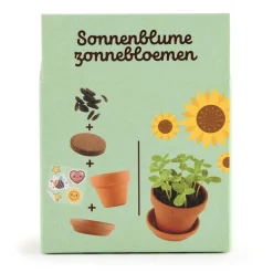 6 Lat+|3 Lata + | Radis et Capucine Słonecznik do samodzielnej uprawy My Little Sunflower