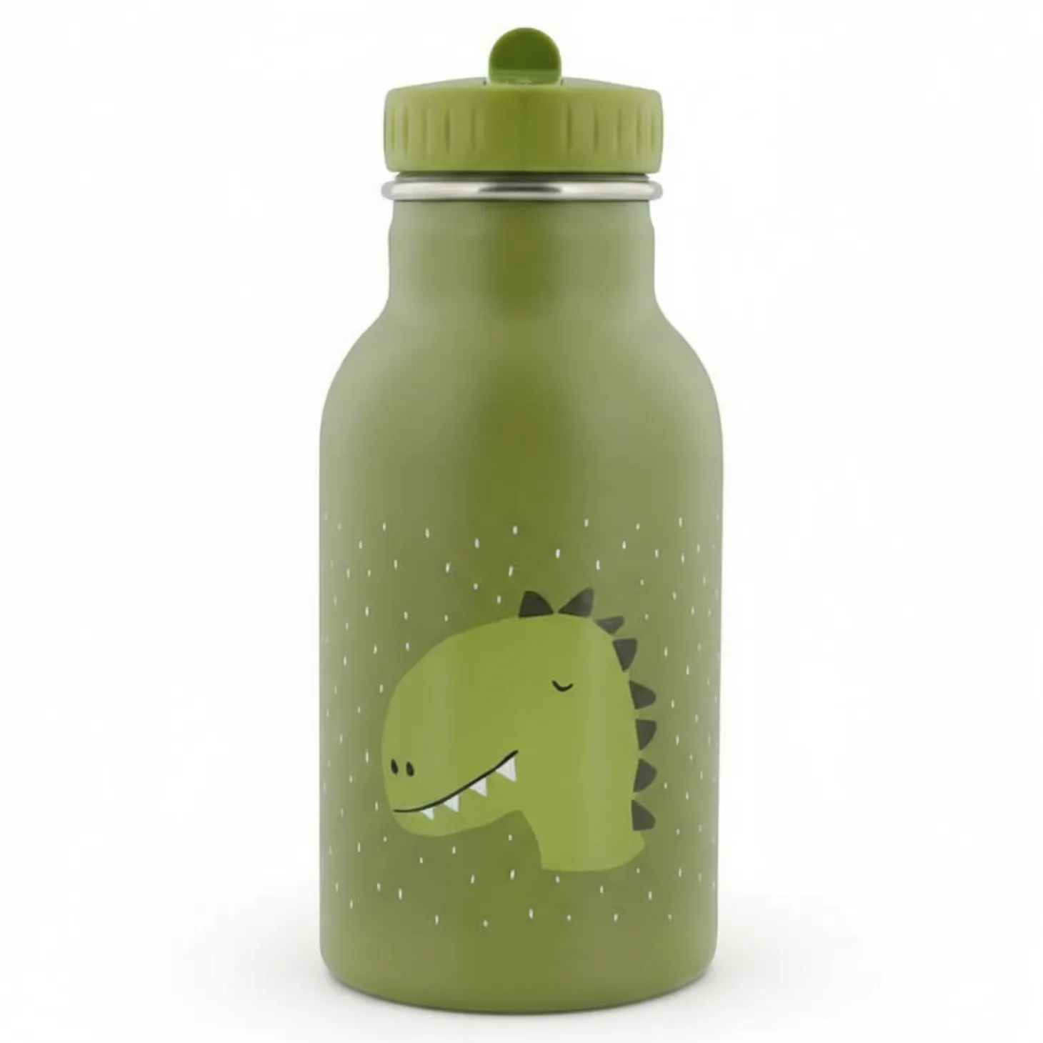 Termiczna butelka Dinozaur, 350ml
