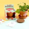 8 Lat+ | Radis et Capucine Truskawki do samodzielnej uprawy My Little Strawberries