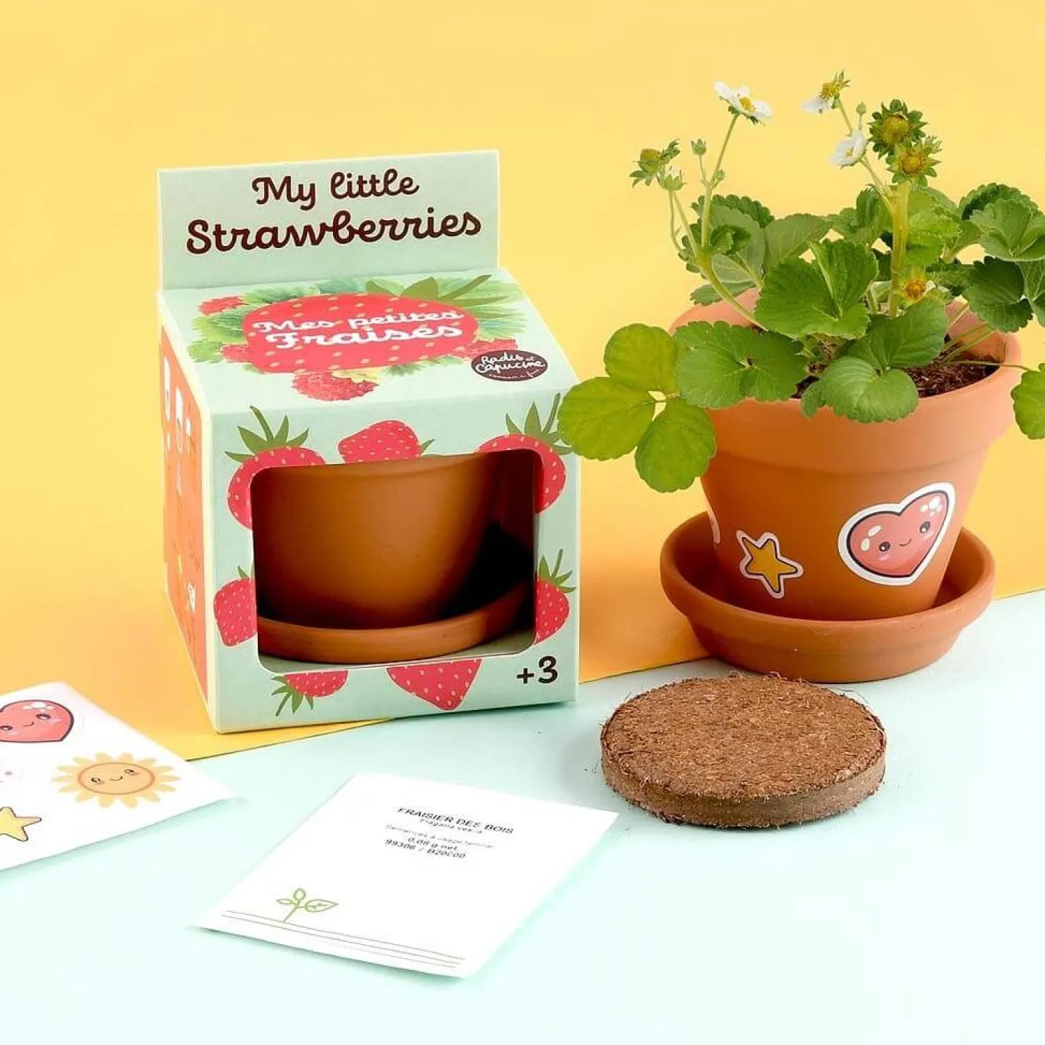 8 Lat+ | Radis et Capucine Truskawki do samodzielnej uprawy My Little Strawberries