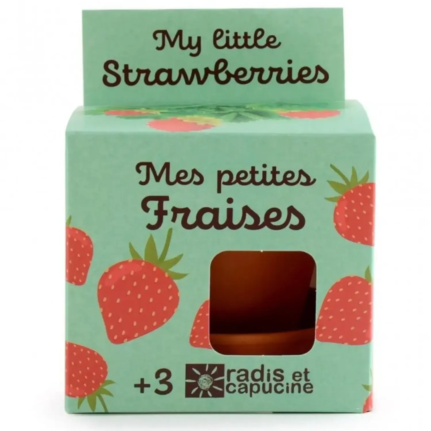 8 Lat+ | Radis et Capucine Truskawki do samodzielnej uprawy My Little Strawberries
