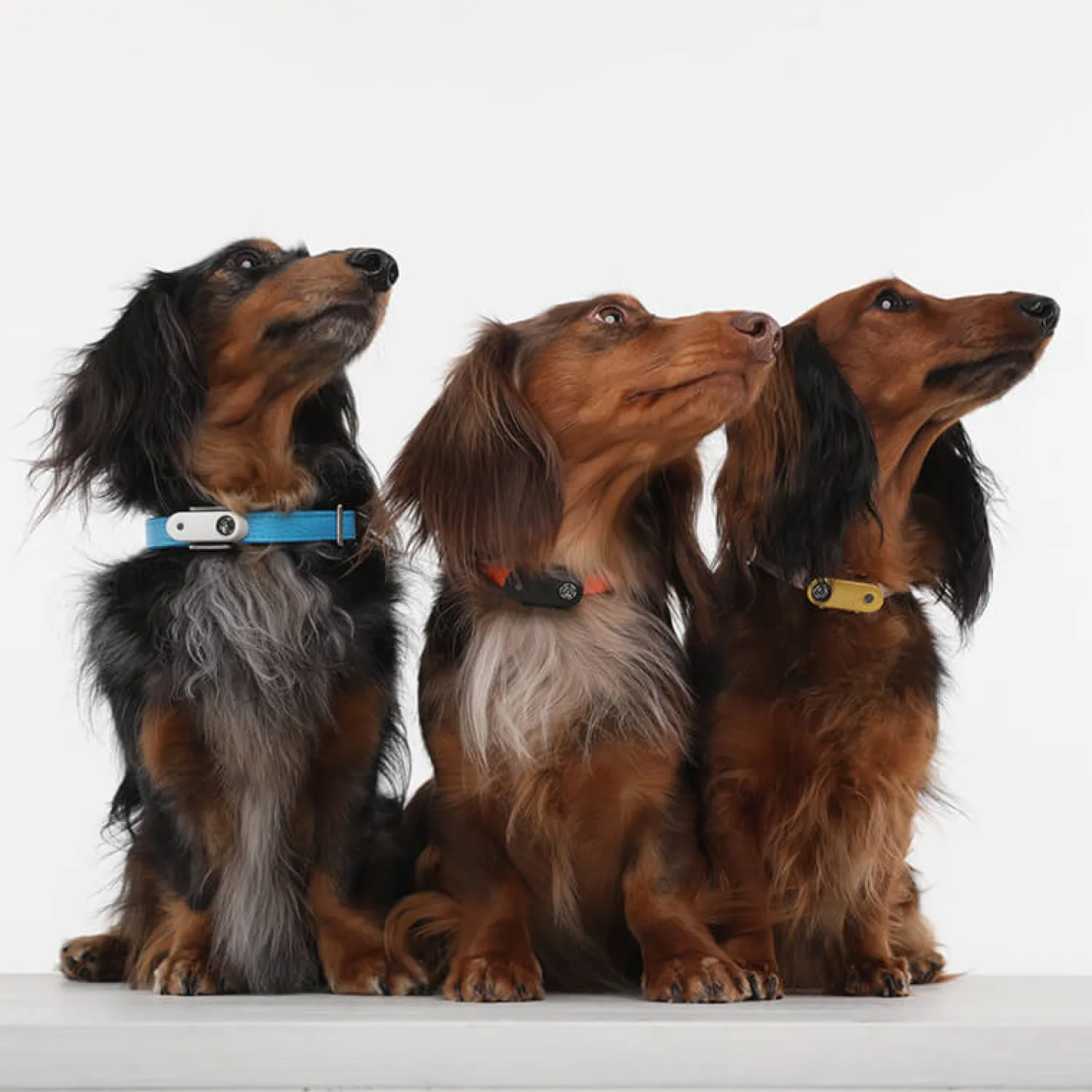 Ułatwiacze Życia | Tickless Ultradźwiękowe urządzenie chroniące przed kleszczami ® Pet Mini Mentha Green