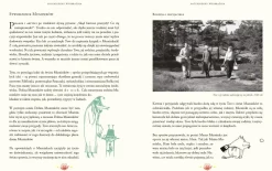 9 Lat +|5-8 Lat | Wydawnictwo Nasza Księgarnia Świat Muminków stworzony przez Tove Jansson