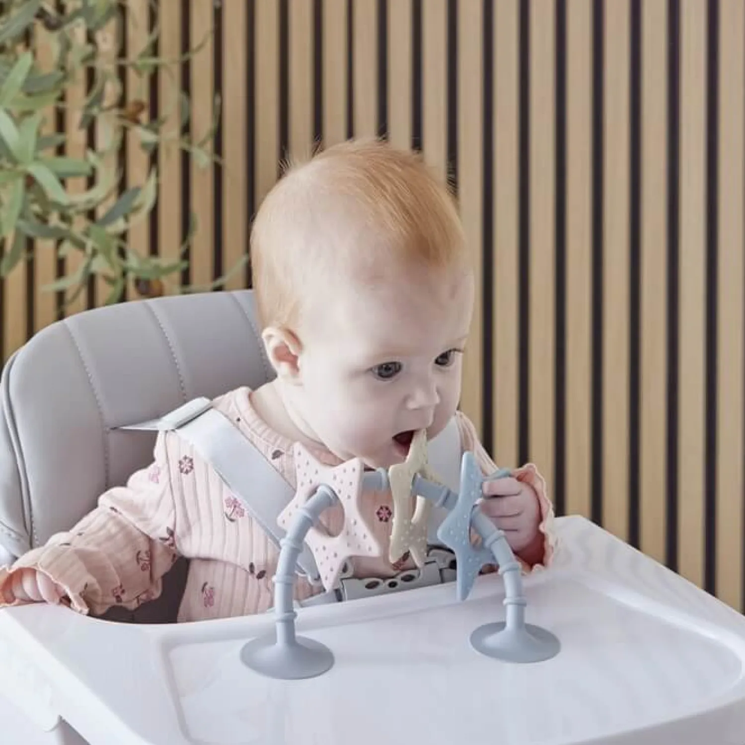 Zabawki Do Kąpieli|Idealne W Podróży | Shnuggle Baby Zabawka i gryzak dla dziecka z przyssawką Gwiazdki