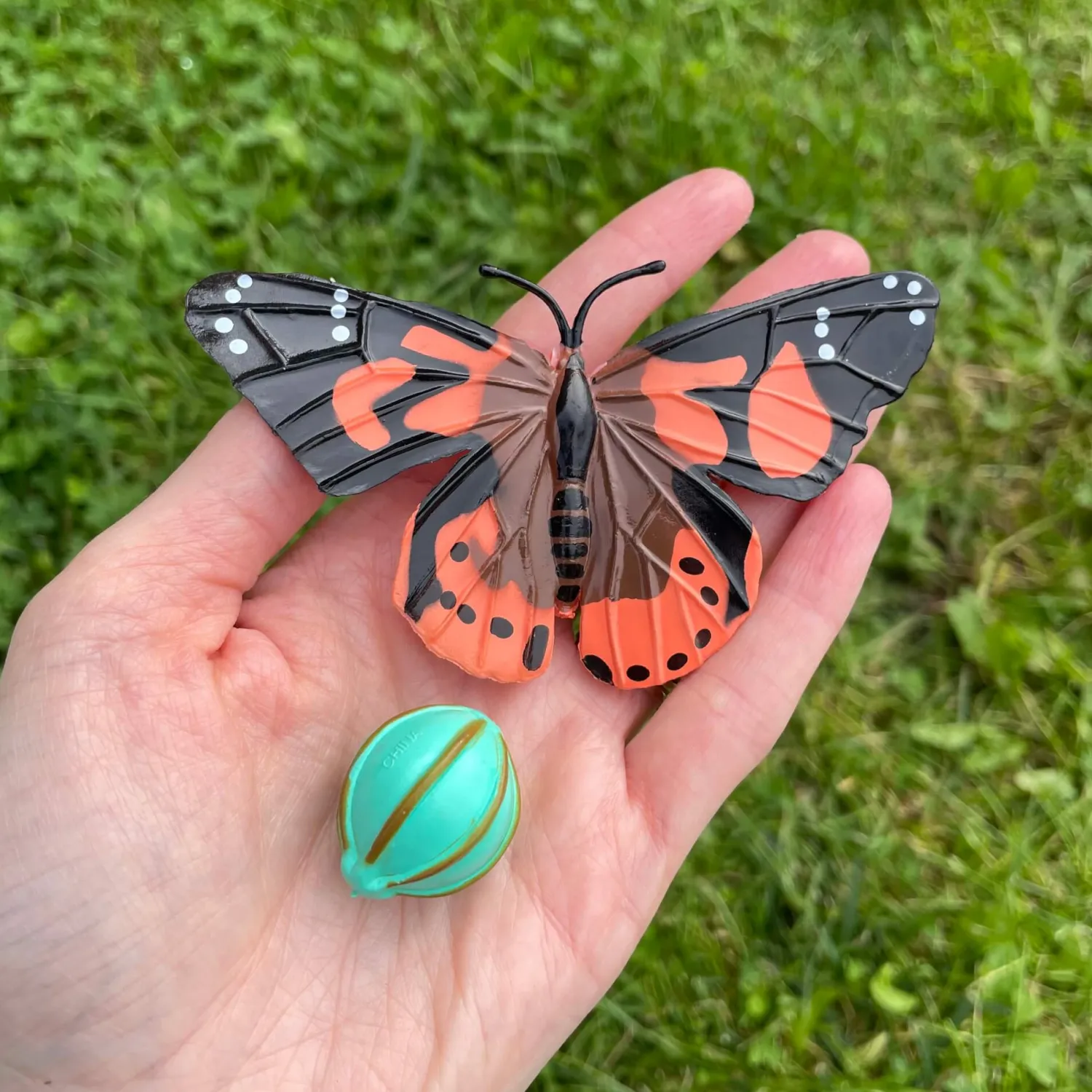 8 Lat+|Edukacyjne | Insect Lore Zestaw figurek Cykl Życia Motyla