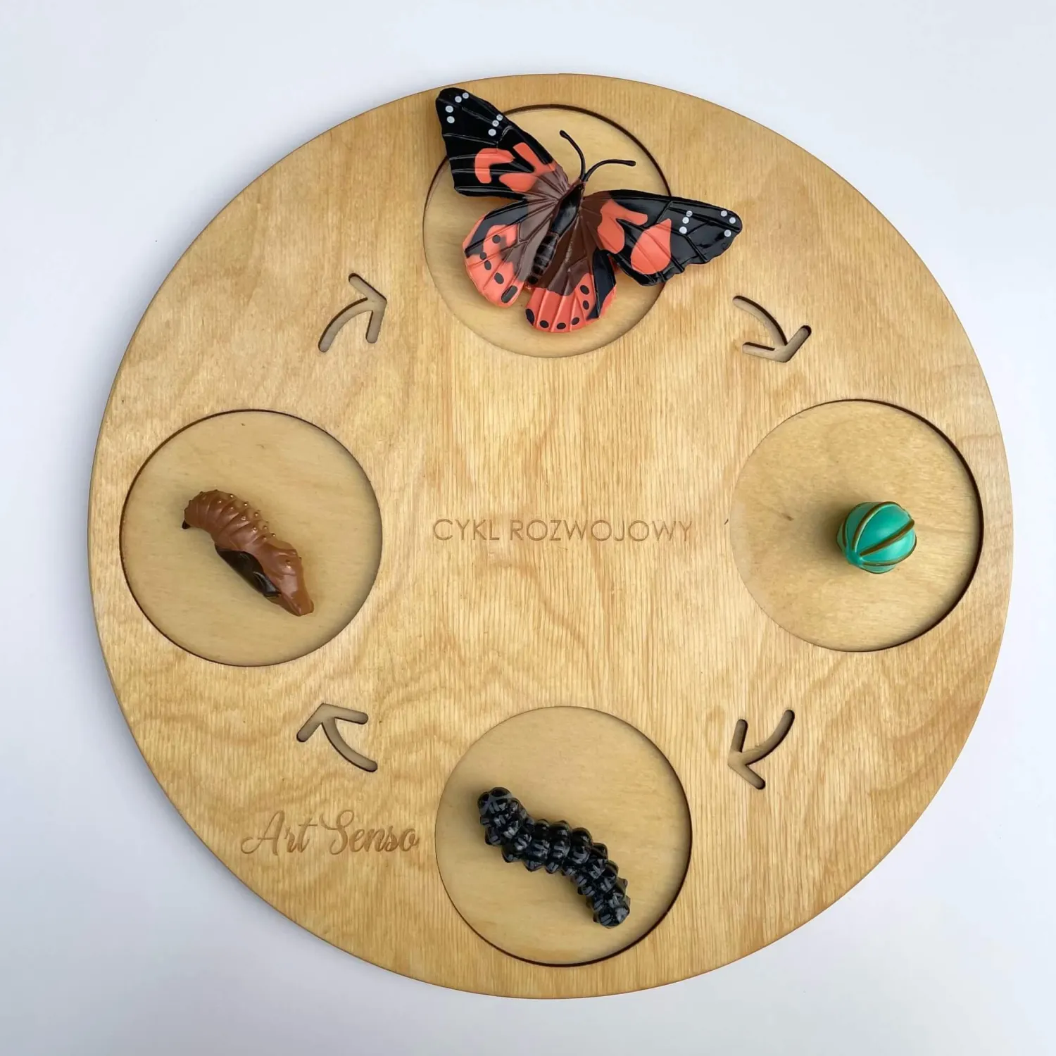 8 Lat+|Edukacyjne | Insect Lore Zestaw figurek Cykl Życia Motyla