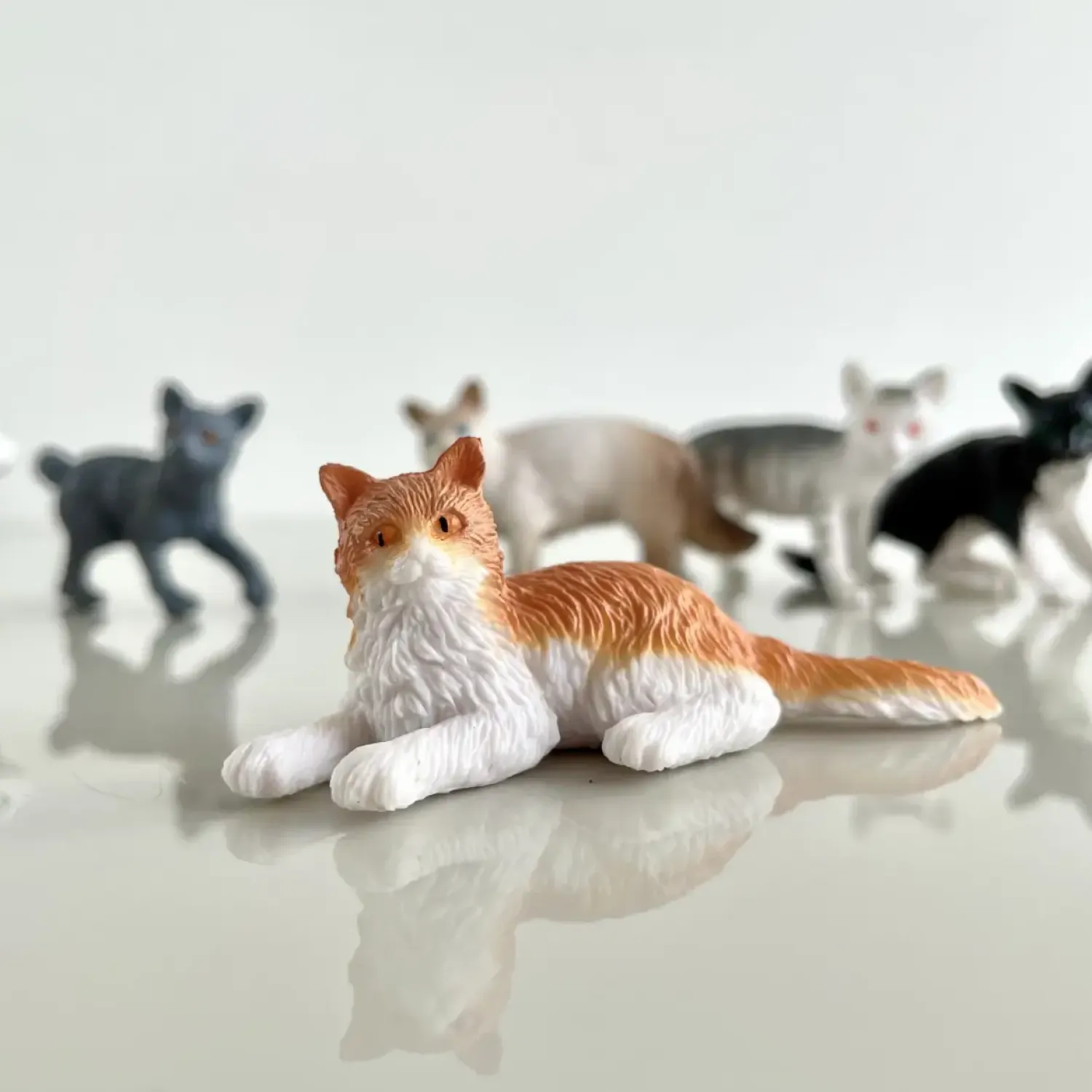 3 Lata +|2 Lata + | Safari Ltd. Zestaw Figurek w Tubie - Koty Domowe