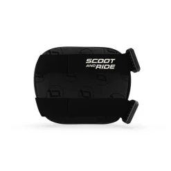 Przydatne Akcesoria | Scootandride Zestaw ochraniaczy dla dzieci S Ash