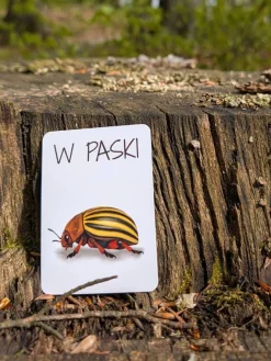 Idealne W Podróży|6 Lat+ | Nanuki Znajdź to! Gra terenowa