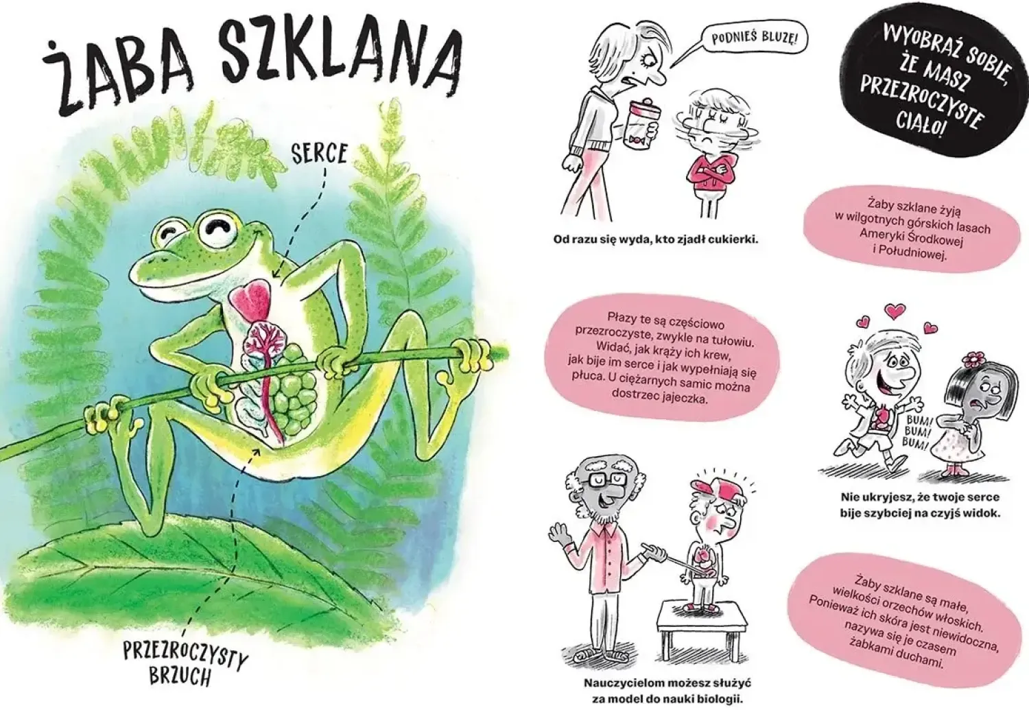 5-8 Lat|2-5 Lat | HarperCollins Zwierzaki cwaniaki. Akademia Mądrego Dziecka. Chcę wiedzieć