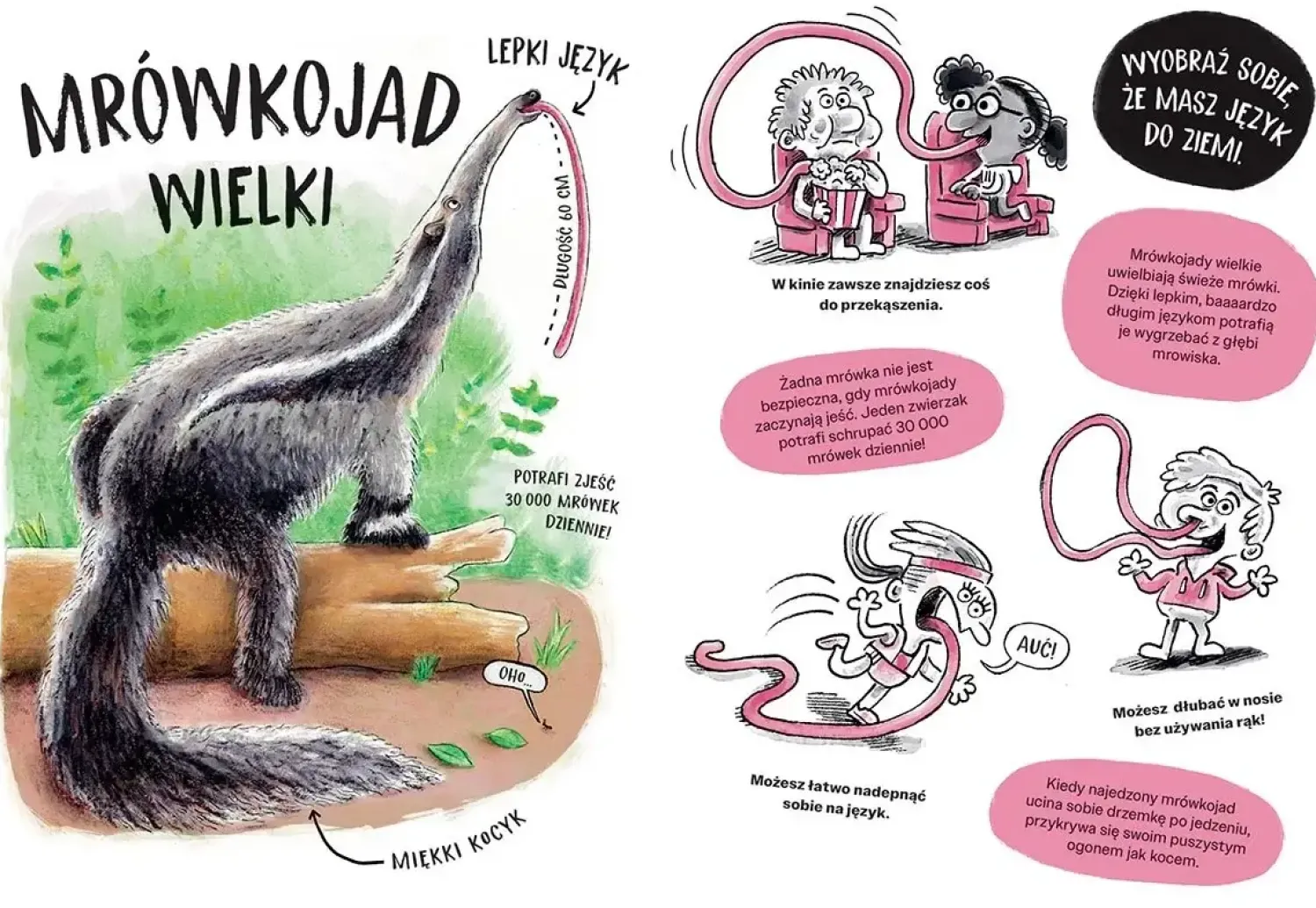 5-8 Lat|2-5 Lat | HarperCollins Zwierzaki cwaniaki. Akademia Mądrego Dziecka. Chcę wiedzieć