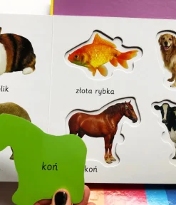 Ruchome Elementy|0-2 Lat | HarperCollins Zwierzęta. Akademia mądrego dziecka. Kolorowy świat malucha