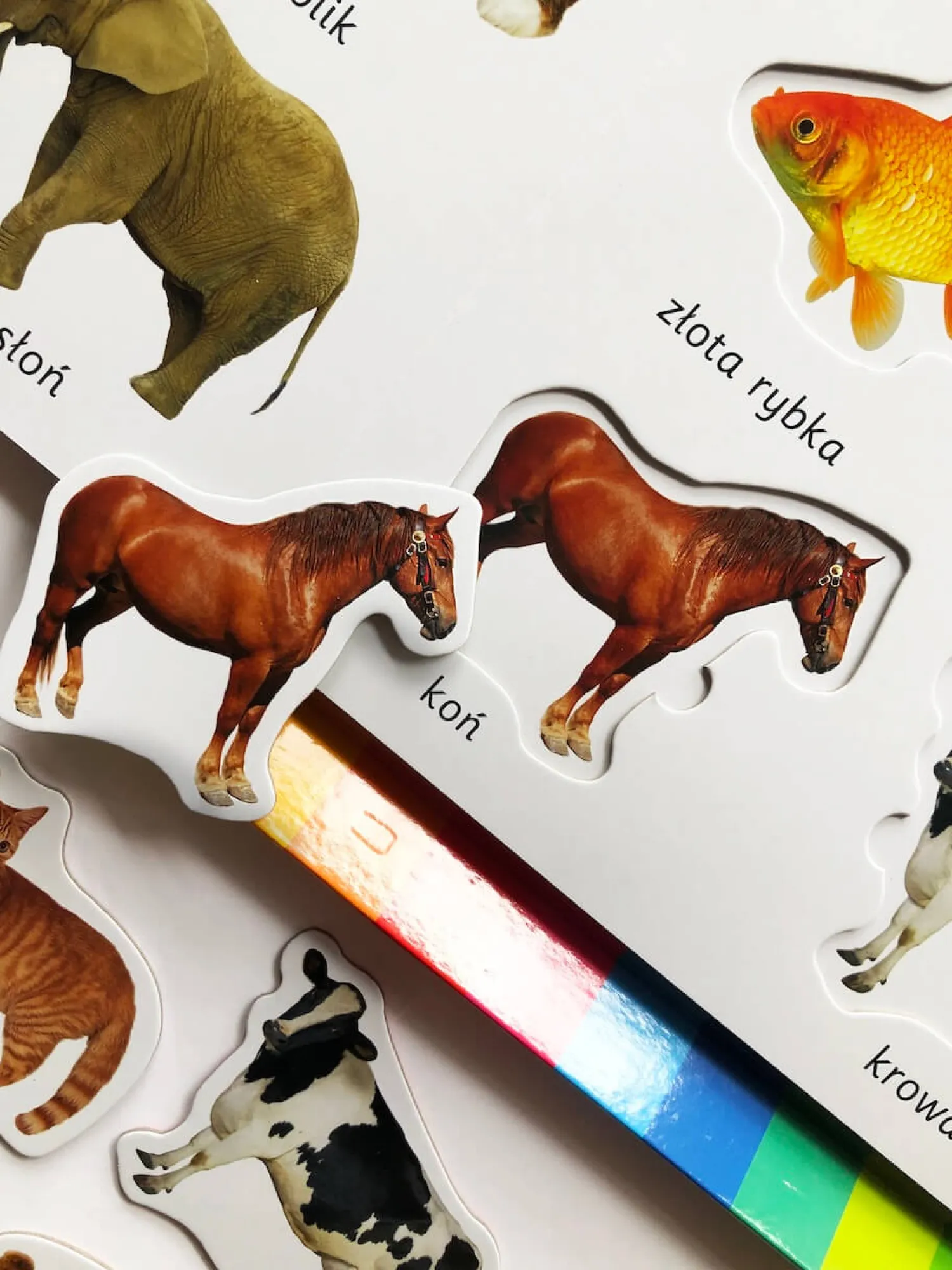 Ruchome Elementy|0-2 Lat | HarperCollins Zwierzęta. Akademia mądrego dziecka. Kolorowy świat malucha