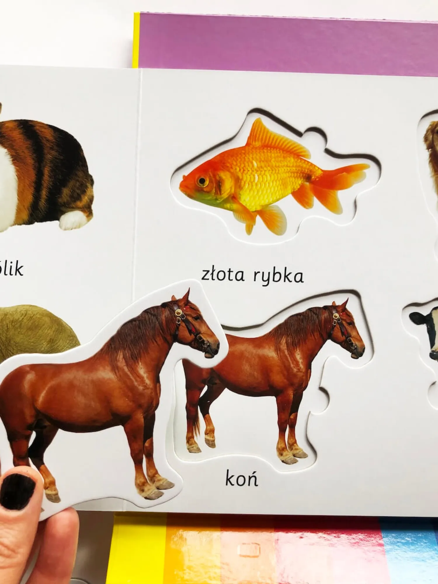Ruchome Elementy|0-2 Lat | HarperCollins Zwierzęta. Akademia mądrego dziecka. Kolorowy świat malucha